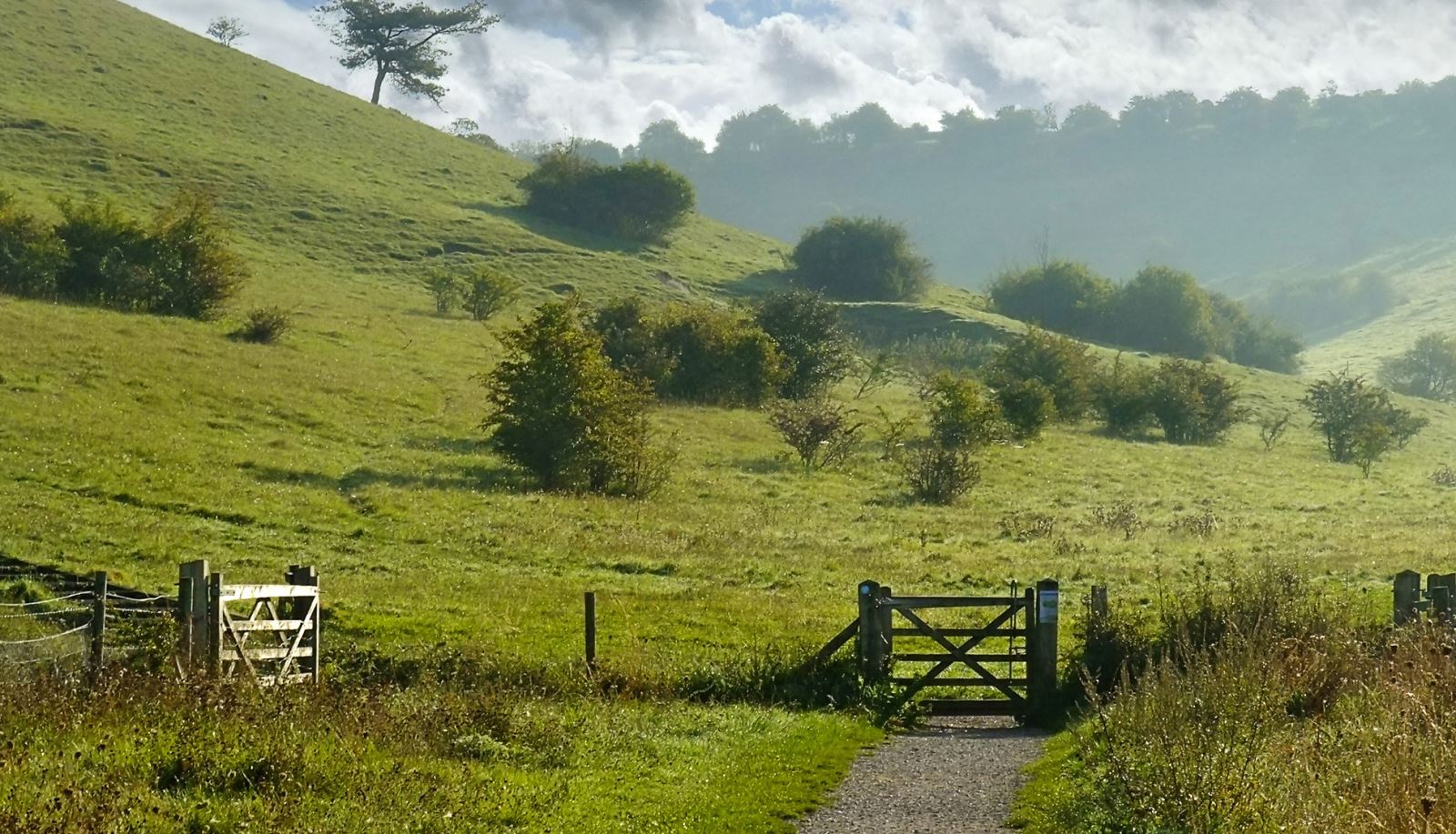 St Catherine's Hill part of Keats Trail Ode to Autumn